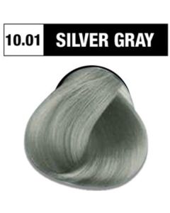 Hair Color Set in Silver Gray 10.01